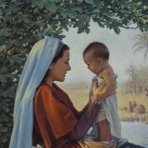 Meet your Posher, Sandy